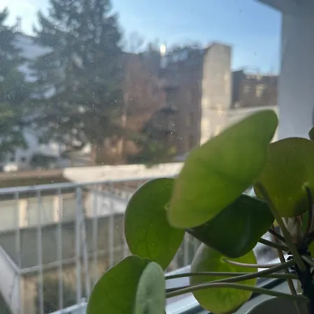 Cozy In Shared Flat Is Yours While I Travel Niederdorla