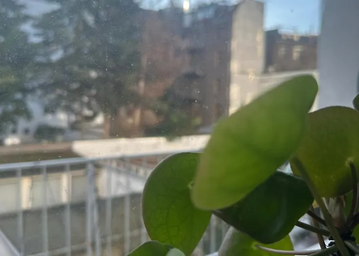 Cozy In Shared Flat Is Yours While I Travel Niederdorla